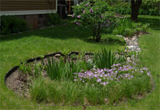 Figure 2 (Washtenaw County, 2009)